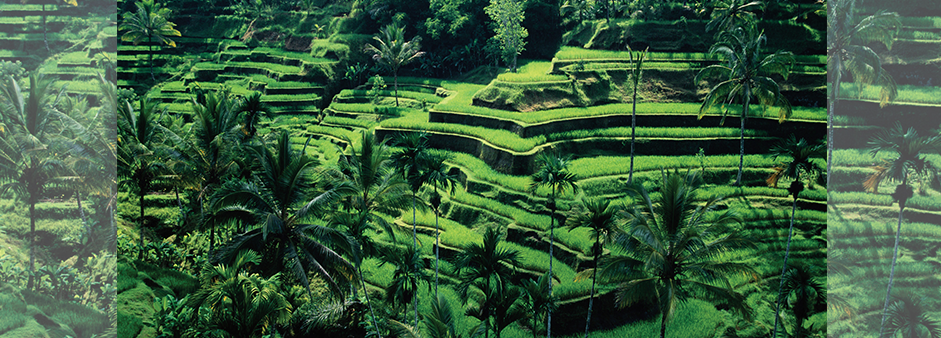 Value - 3 - World Harvest - Impacting the World Through Creative Community, Education and Media Services